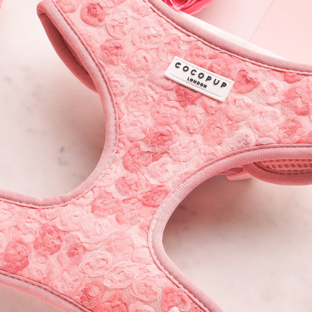 Peony Pup Adjustable Neck HARNESS - Image 4