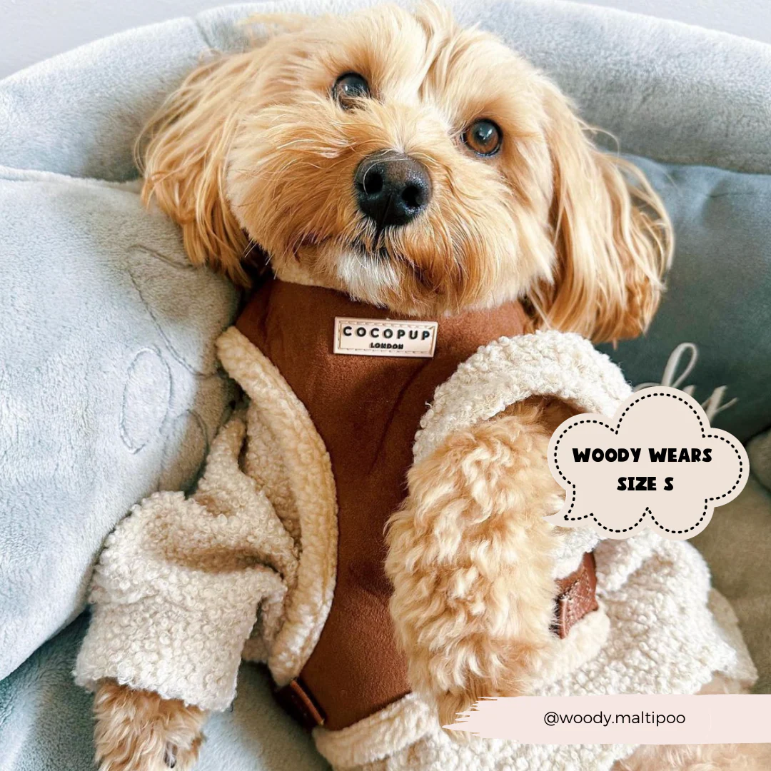 Brown Aviator Adjustable Neck HARNESS - Image 11