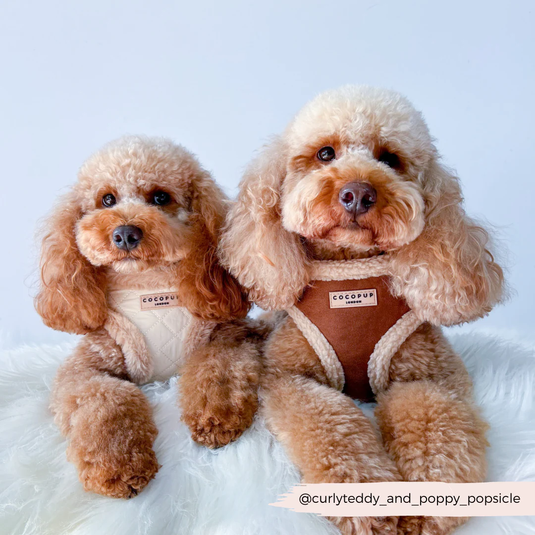Brown Aviator Adjustable Neck HARNESS - Image 12