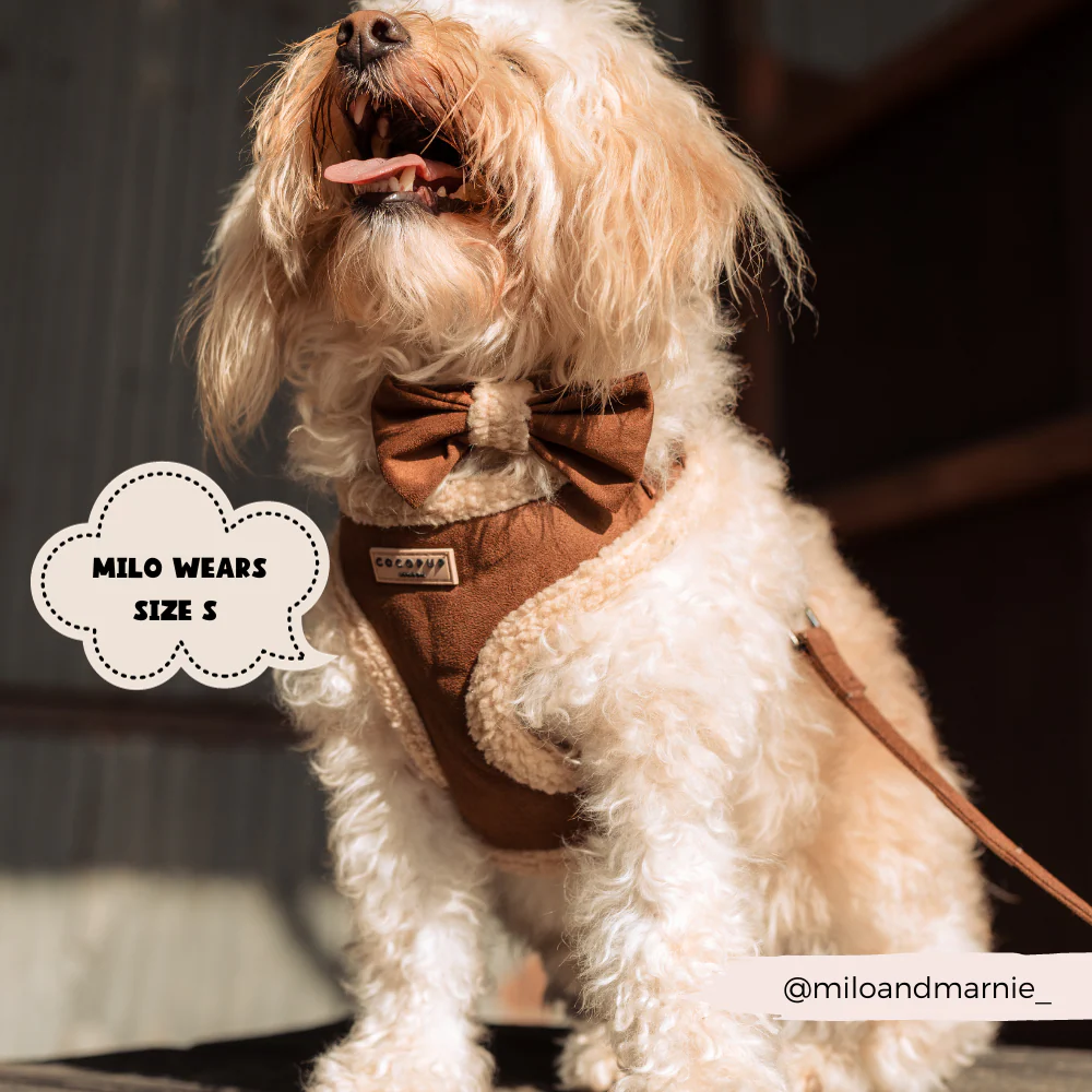 Brown Aviator Adjustable Neck HARNESS - Image 5