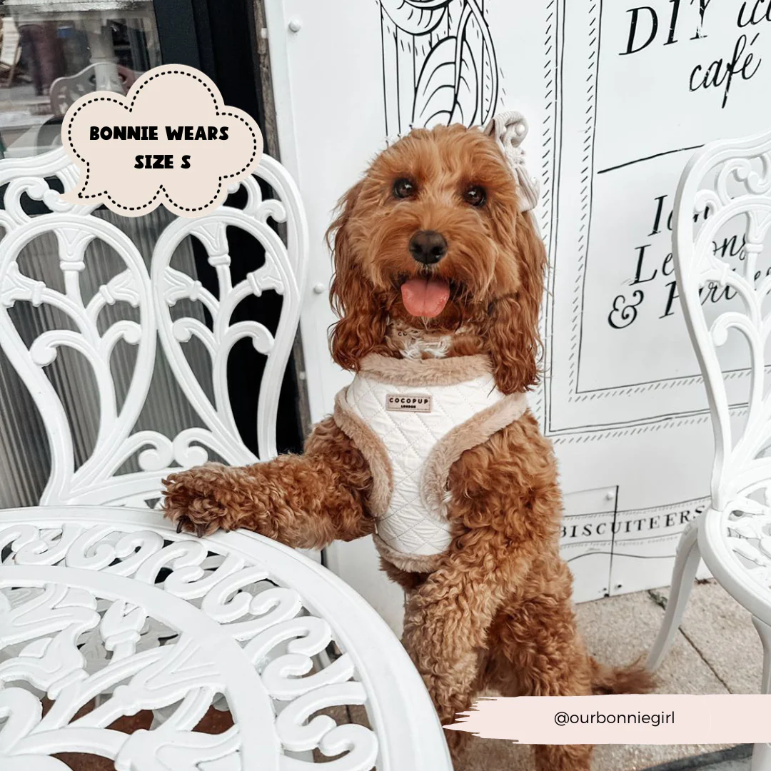 Cream Quilted Adjustable Neck HARNESS - Image 10
