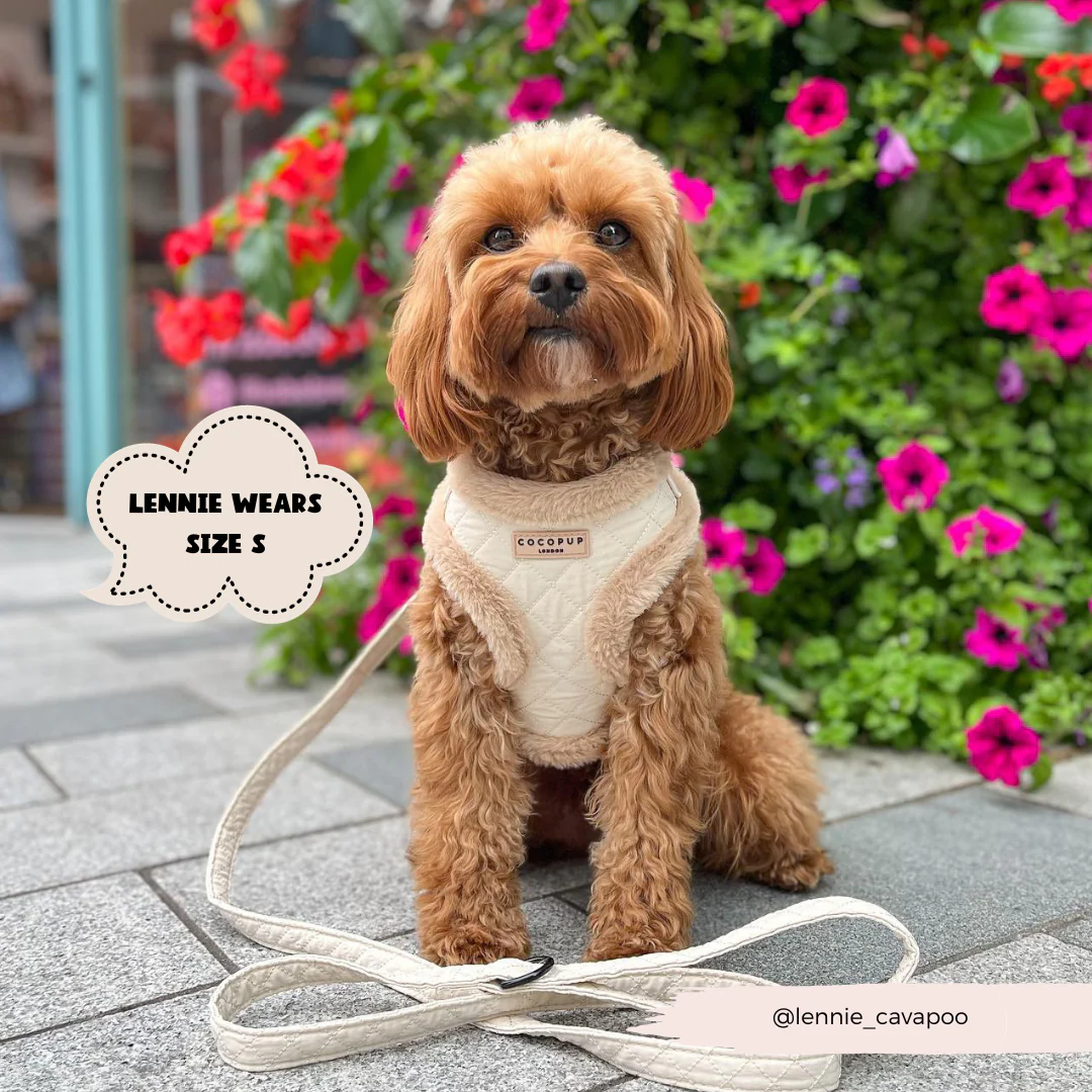 Cream Quilted Adjustable Neck HARNESS - Image 12