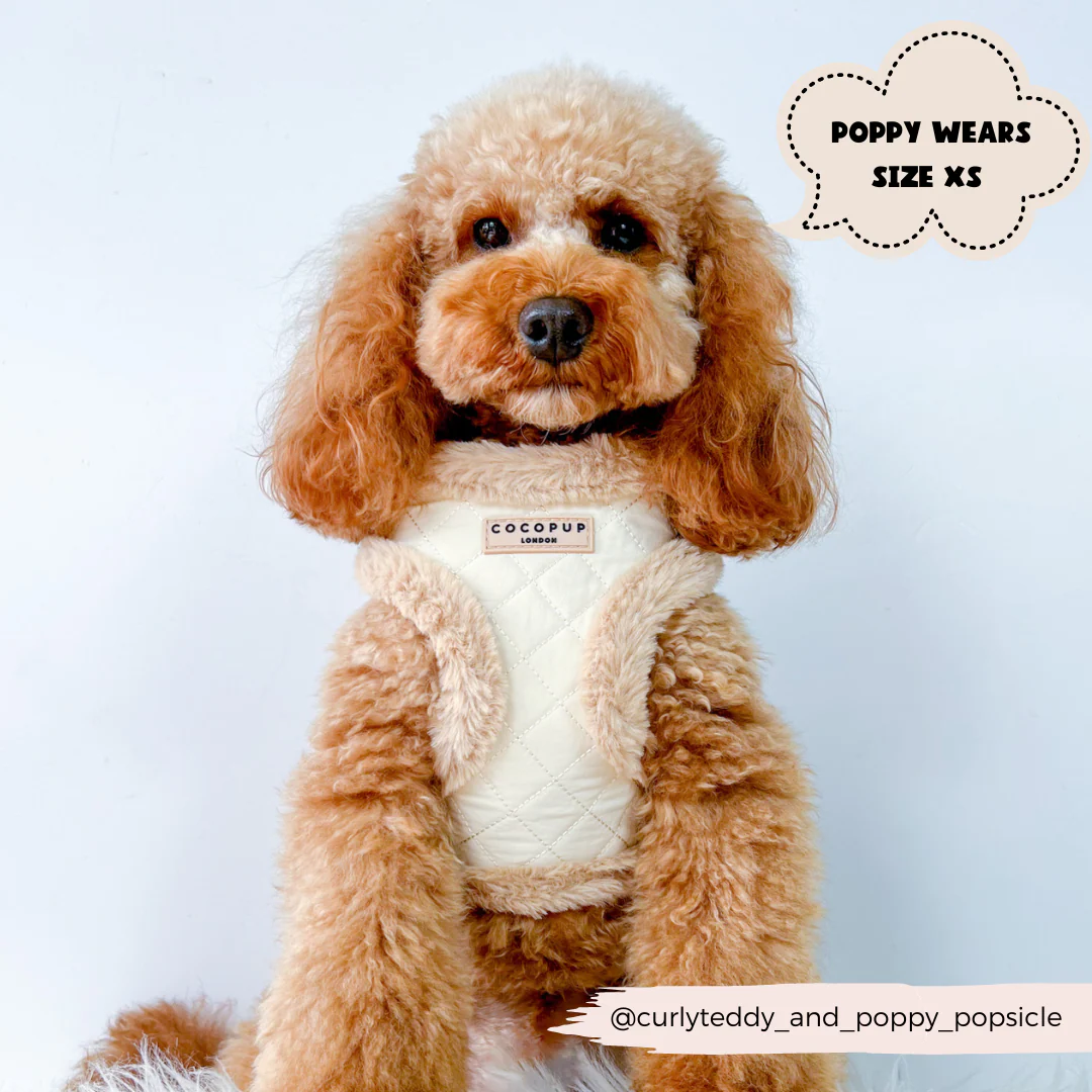 Cream Quilted Adjustable Neck HARNESS - Image 13