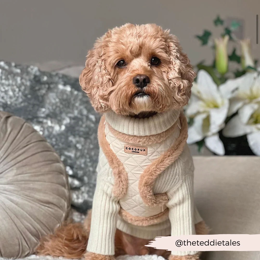 Cream Quilted Adjustable Neck HARNESS - Image 27