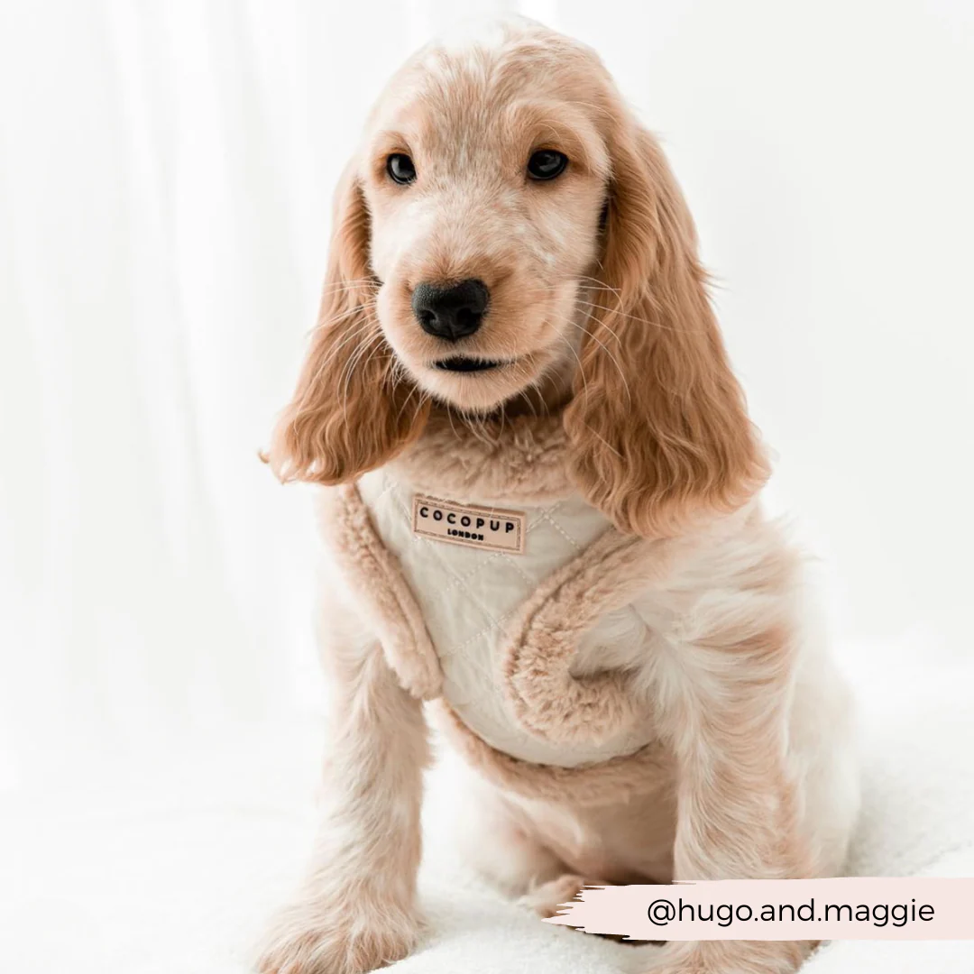 Cream Quilted Adjustable Neck HARNESS - Image 35