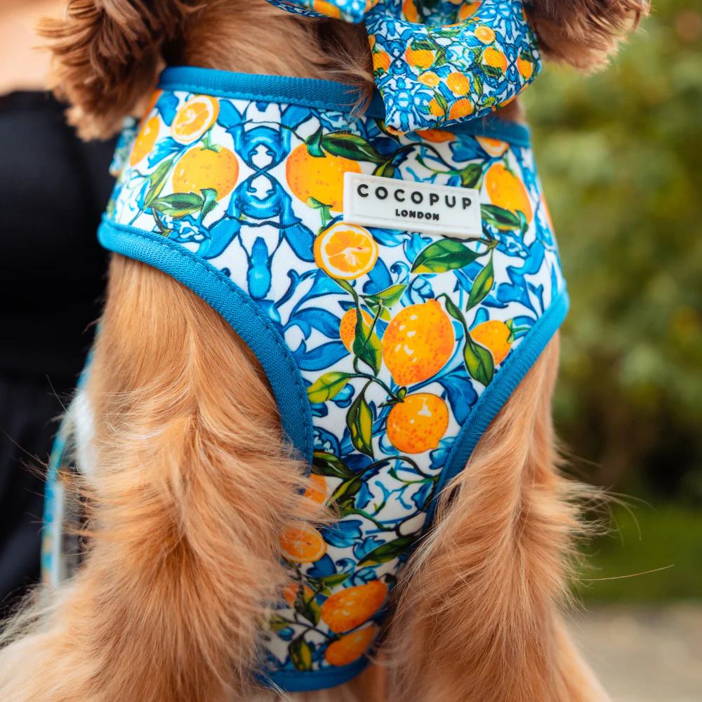 Amalfi Lemon Adjustable Neck HARNESS - Image 4