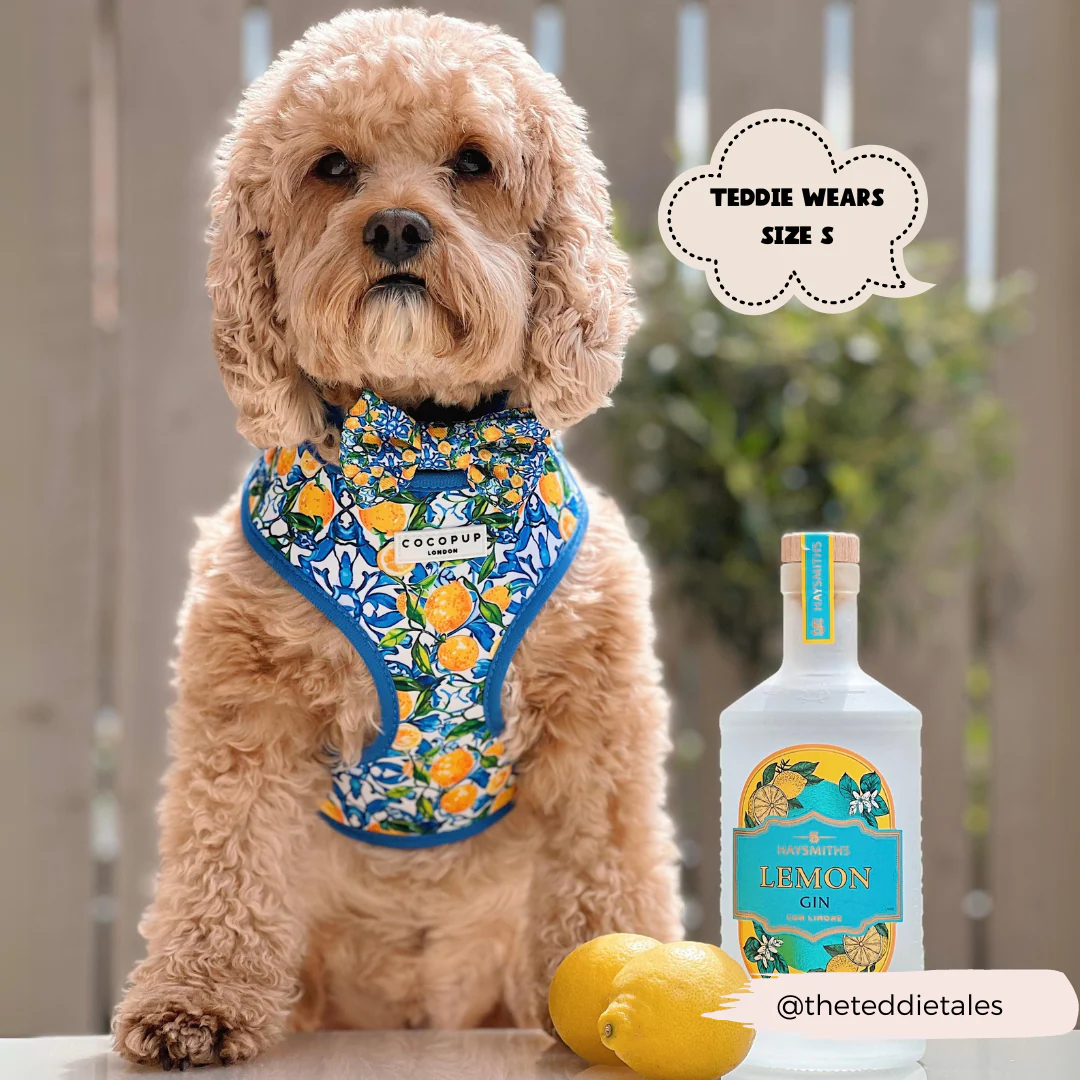 Amalfi Lemon Bow Tie - Image 3