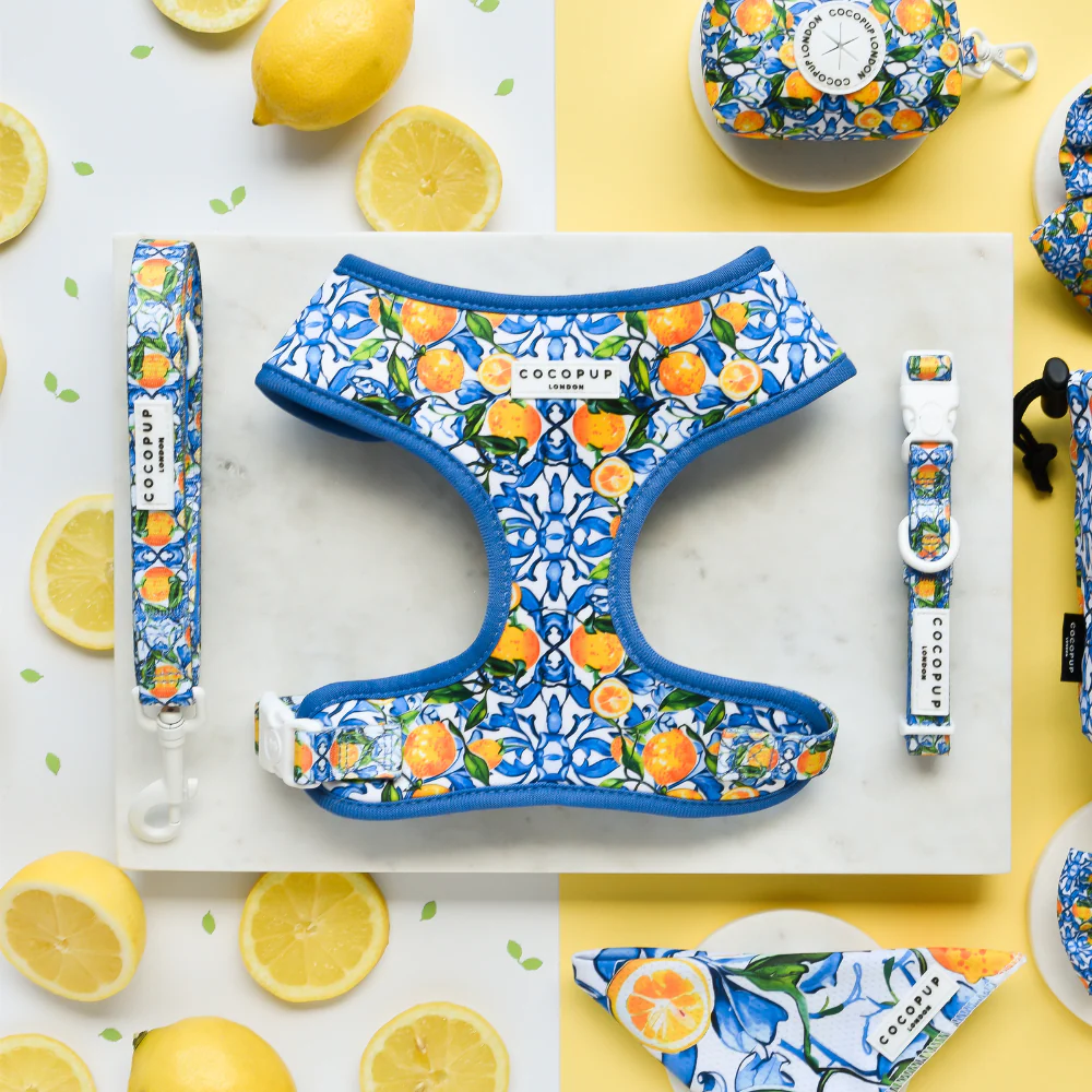 Amalfi Lemon COLLAR - Image 3