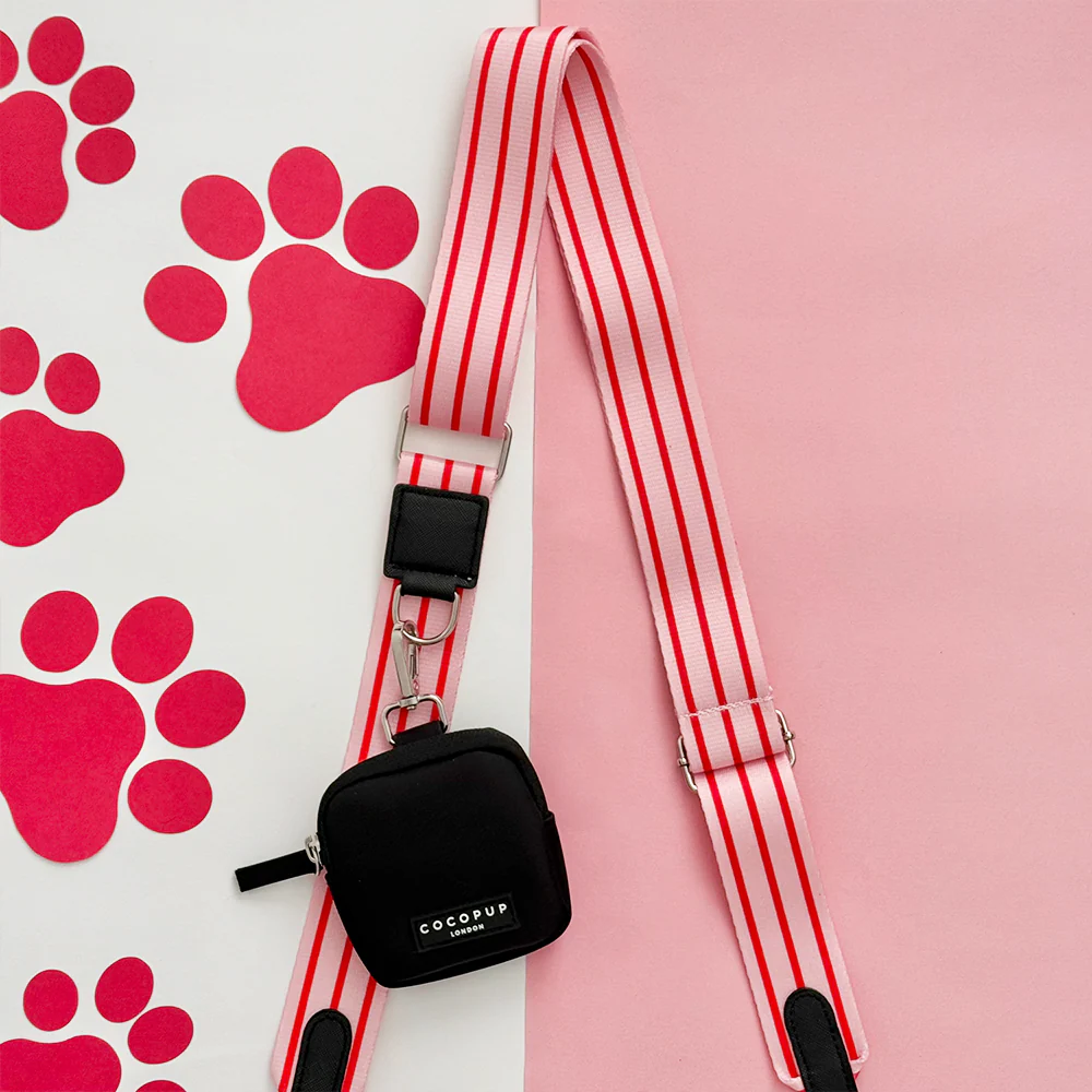 Bag Strap - Candy Stripe - Image 2
