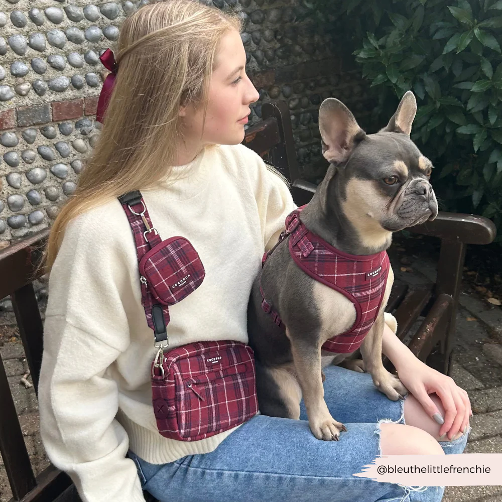 Bag Strap - Mulberry Plaid - Image 6