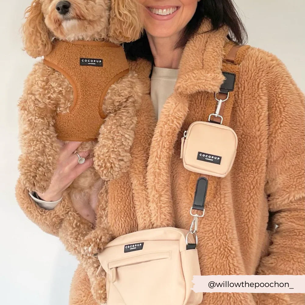 Teddy Bag Strap - Paddington - Image 4
