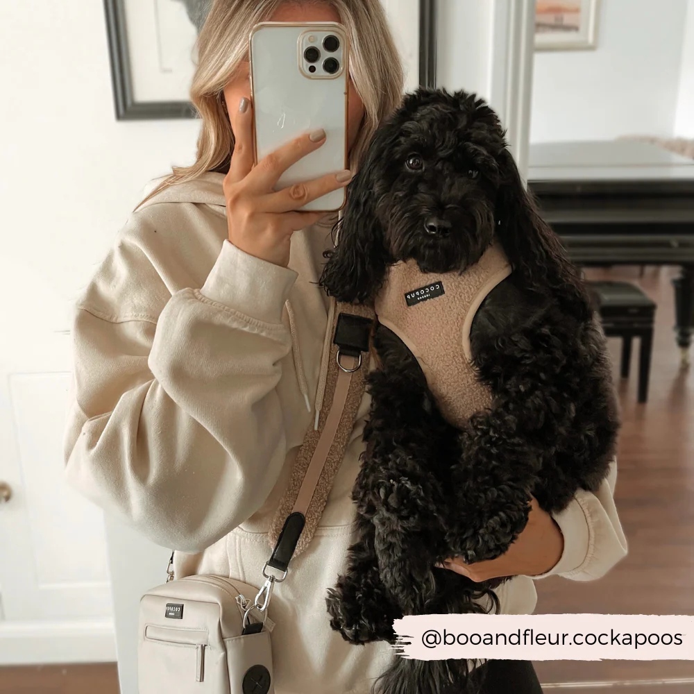 Teddy Bag Strap - Rupert - Image 5