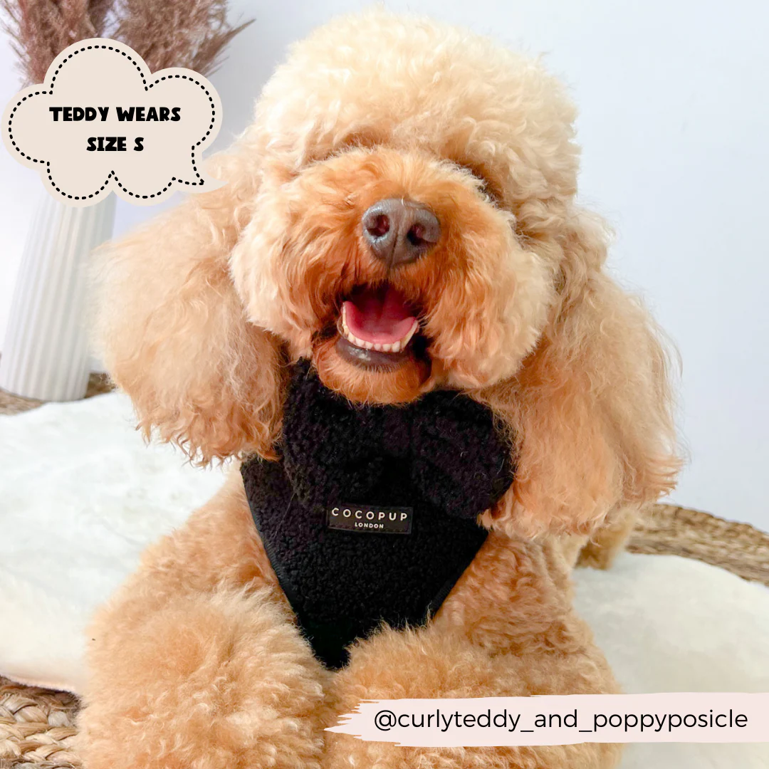 Teddy Adjustable Neck HARNESS - Baloo - Image 10