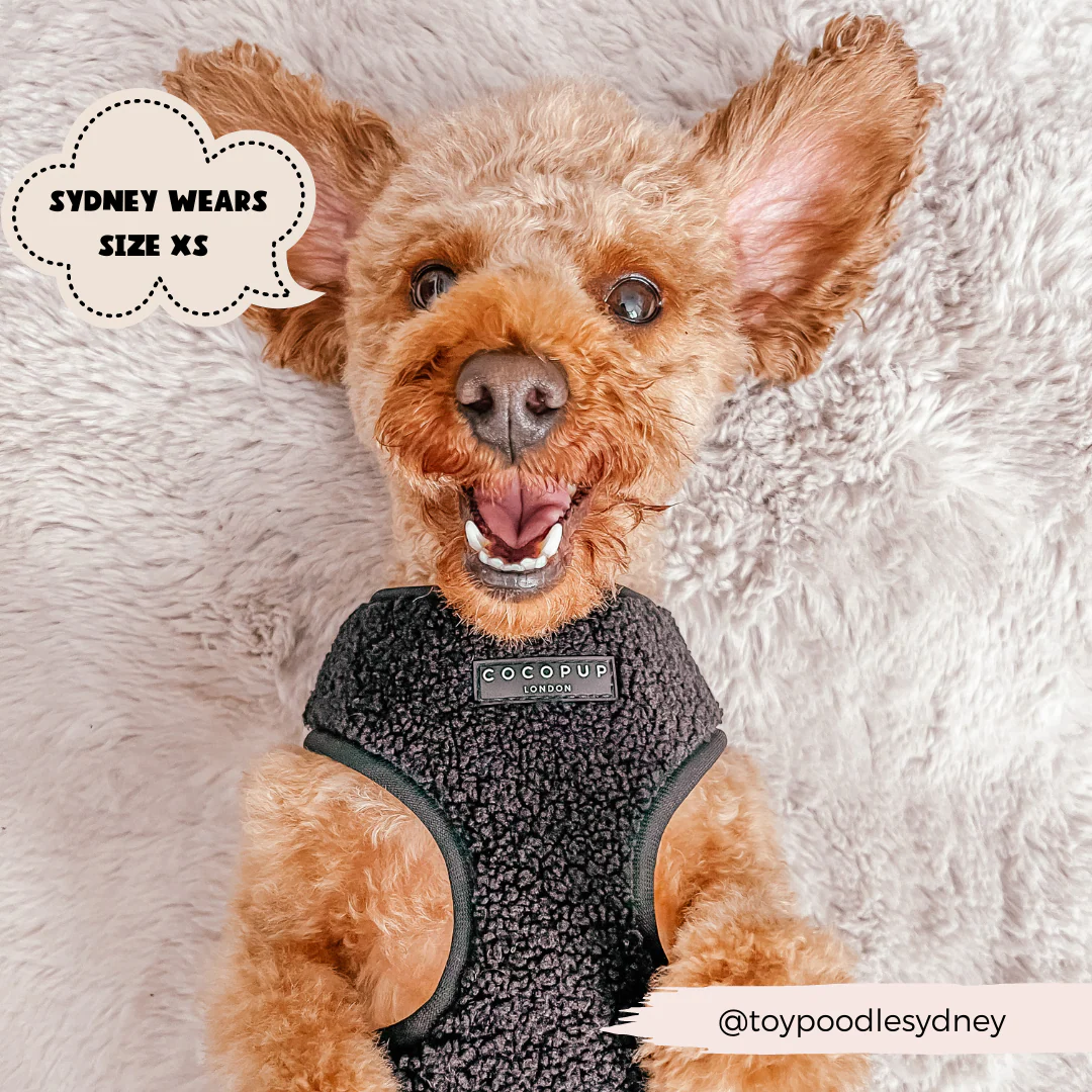 Teddy Adjustable Neck HARNESS - Baloo - Image 7