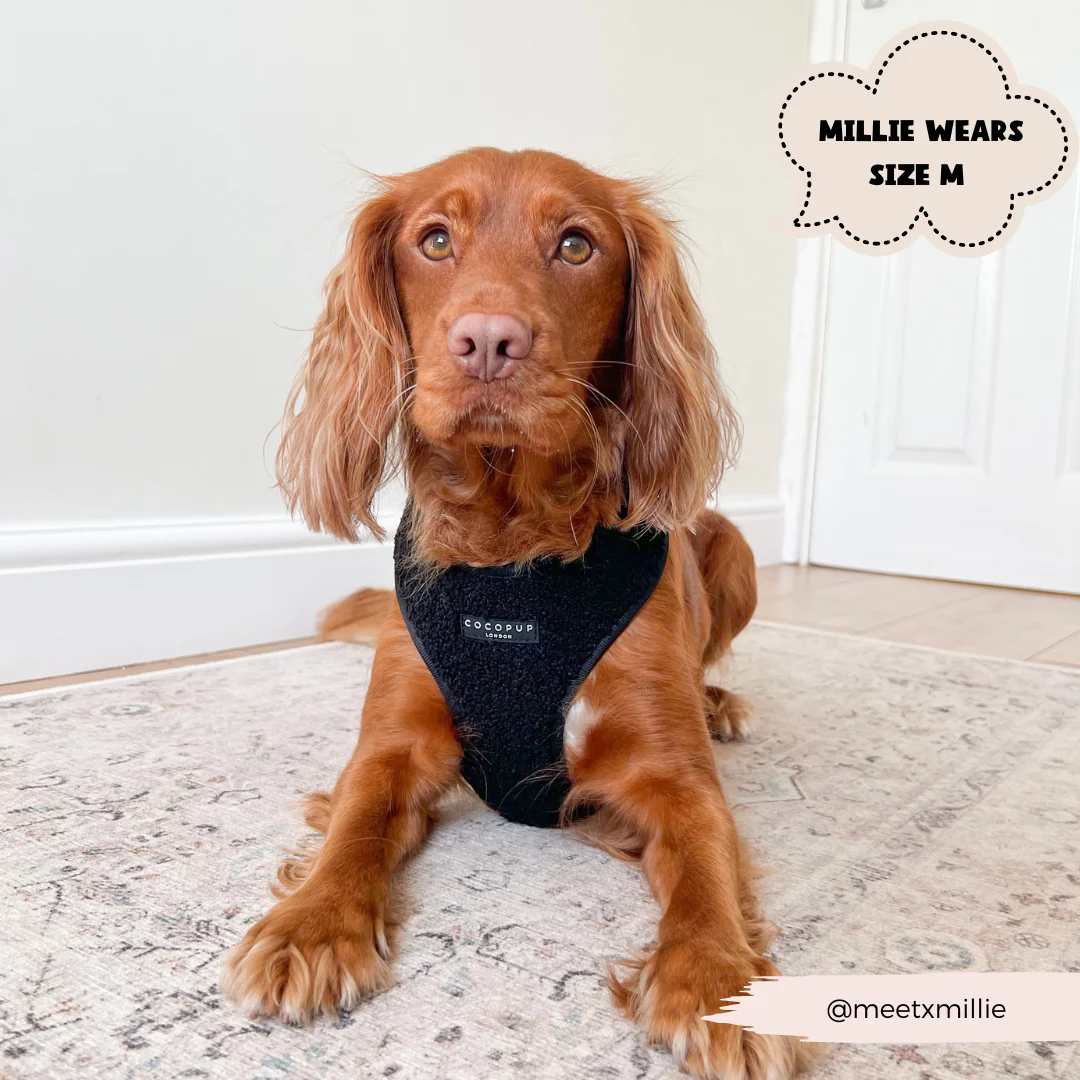 Teddy Adjustable Neck HARNESS - Baloo - Image 9