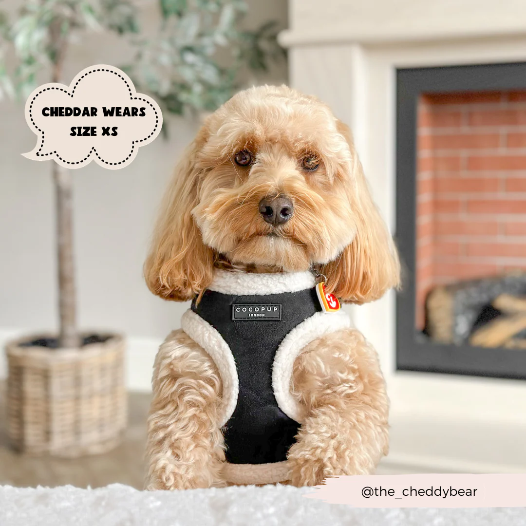 Black Aviator Adjustable Neck HARNESS - Image 10