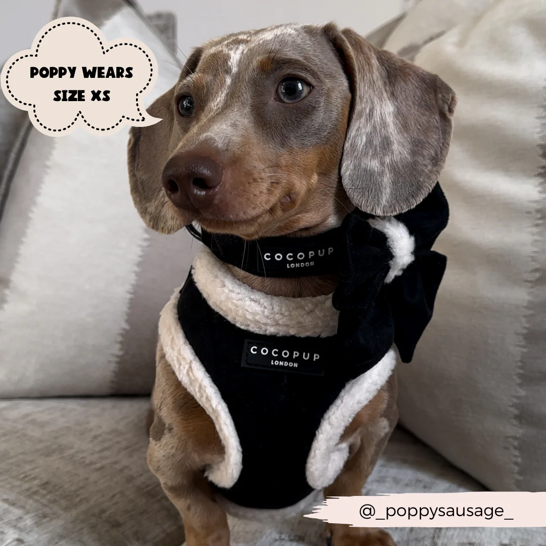 Black Aviator Adjustable Neck HARNESS - Image 9