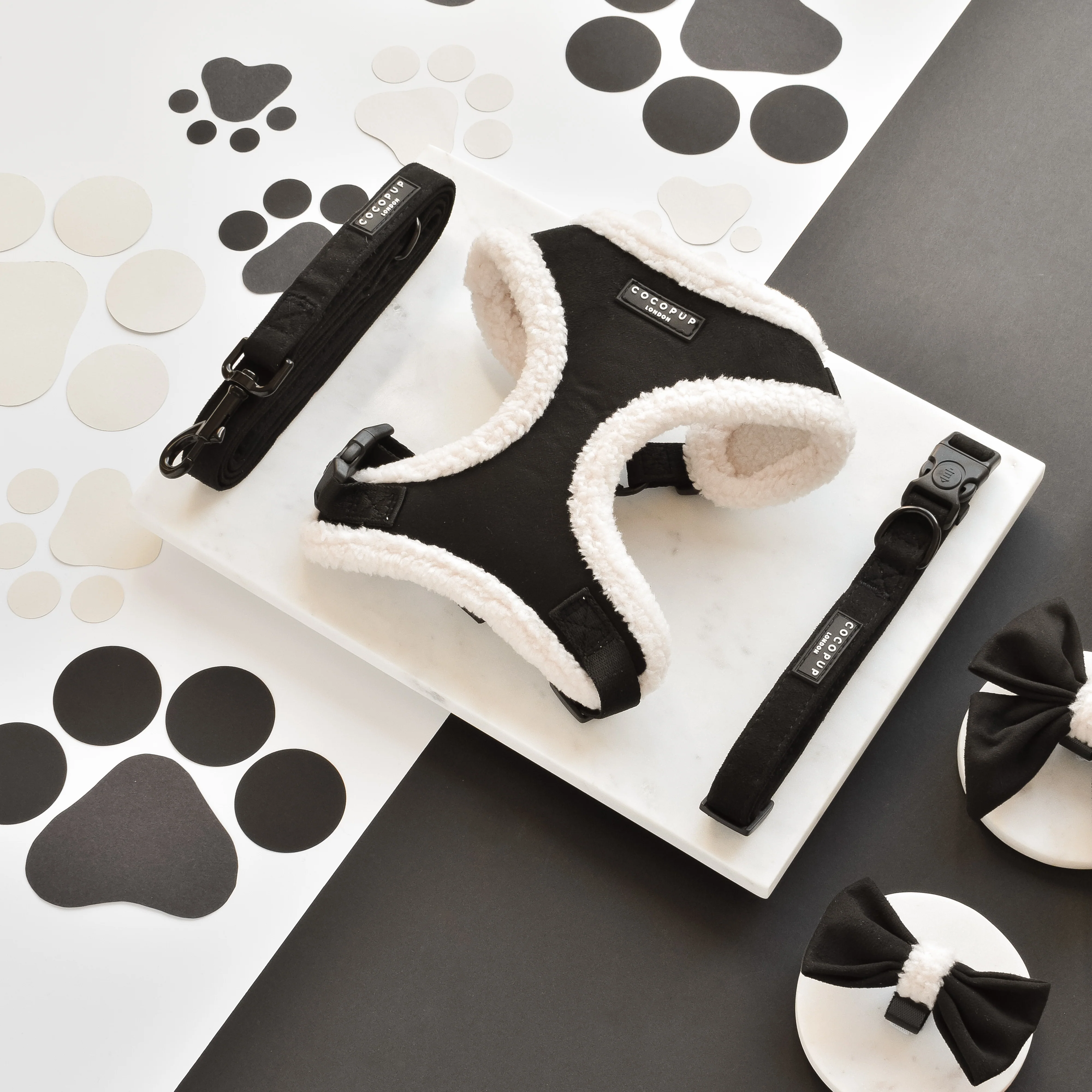 Black Aviator COLLAR - Image 3