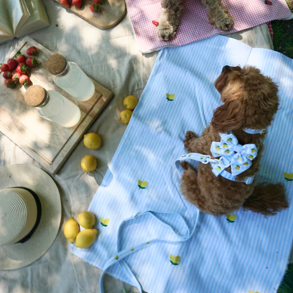 Blanket - Living La Vida Lemon - Image 9