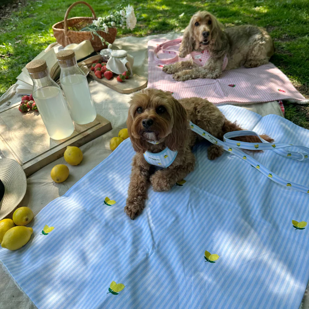 Blanket - Living La Vida Lemon - Image 7