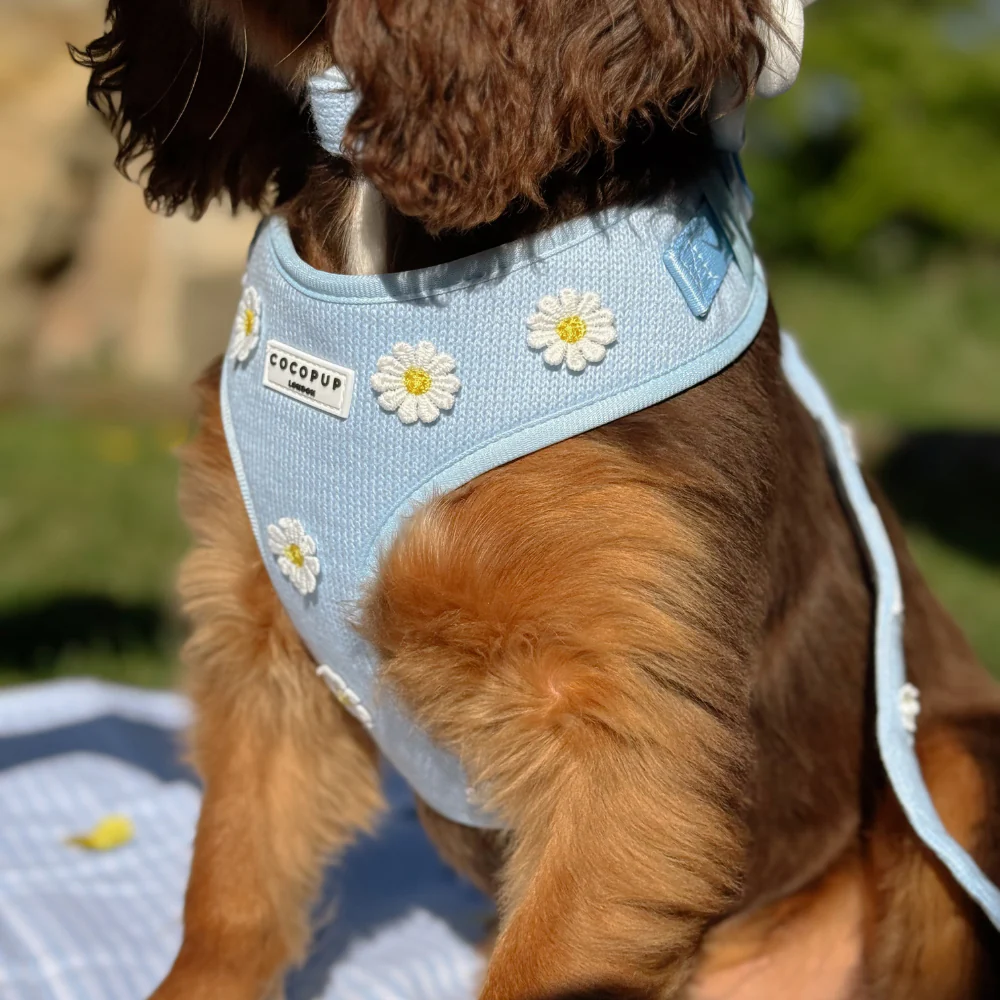Blue Daisy Dream Adjustable Neck HARNESS - Image 12