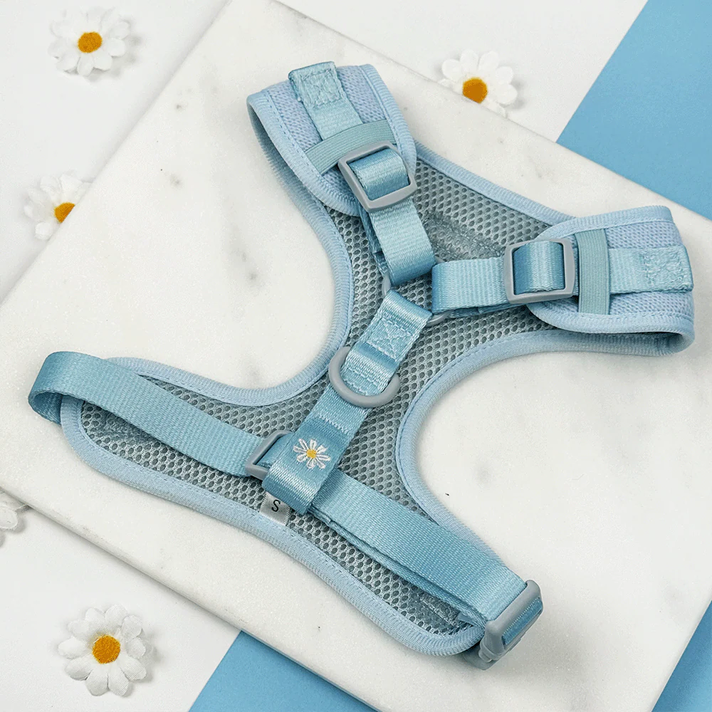 Blue Daisy Dream Adjustable Neck HARNESS - Image 3