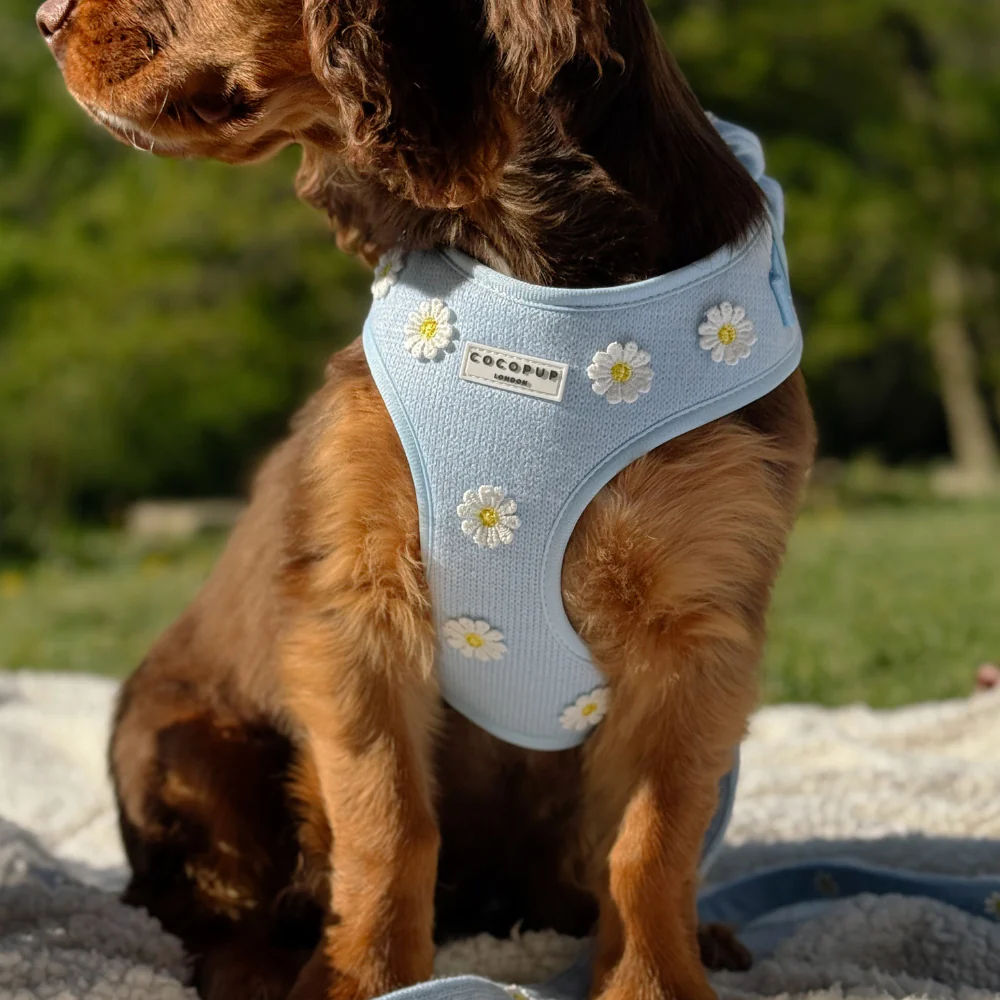 Blue Daisy Dream Adjustable Neck HARNESS - Image 4