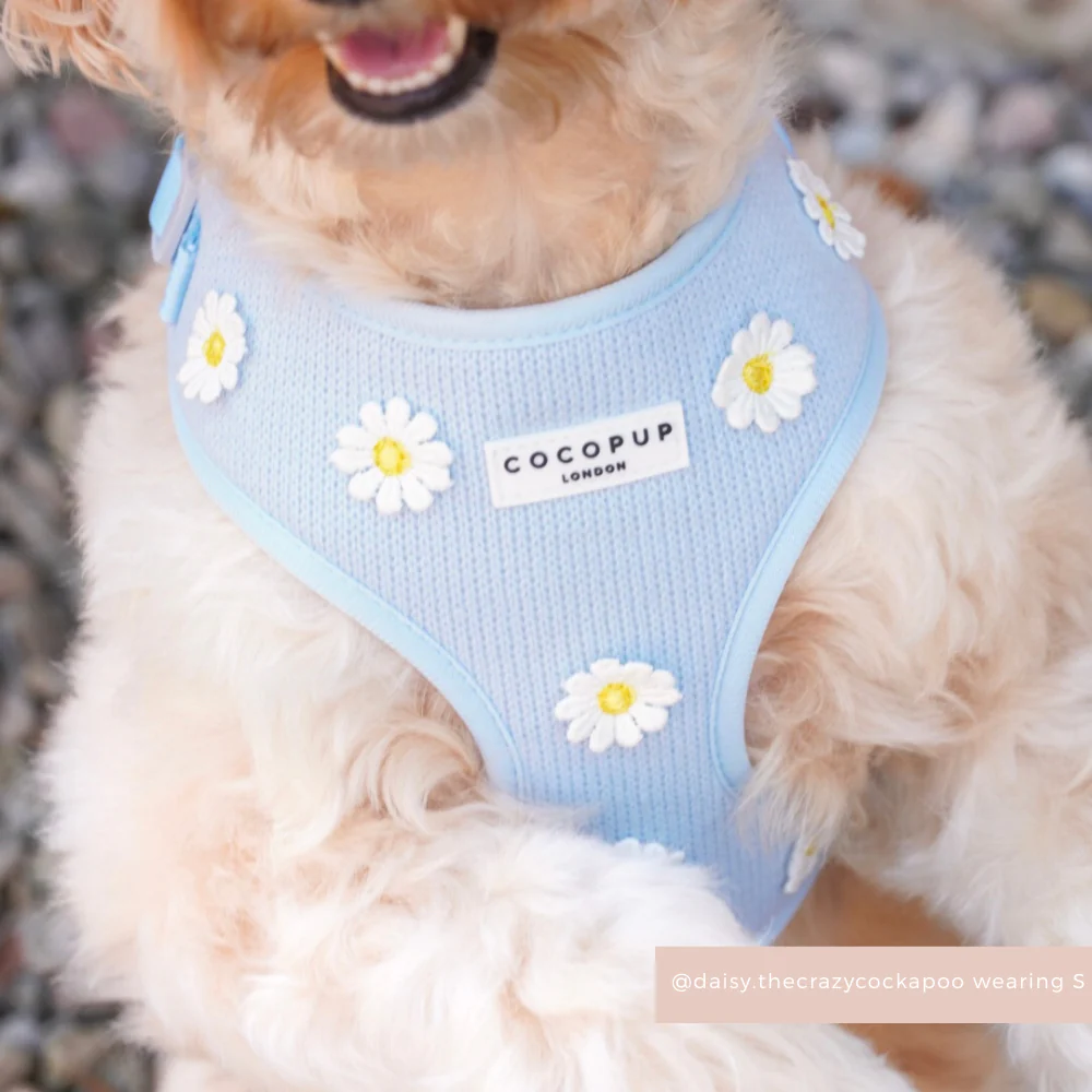 Blue Daisy Dream Adjustable Neck HARNESS - Image 8