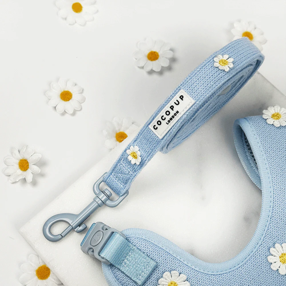 Blue Daisy Dream Lead
