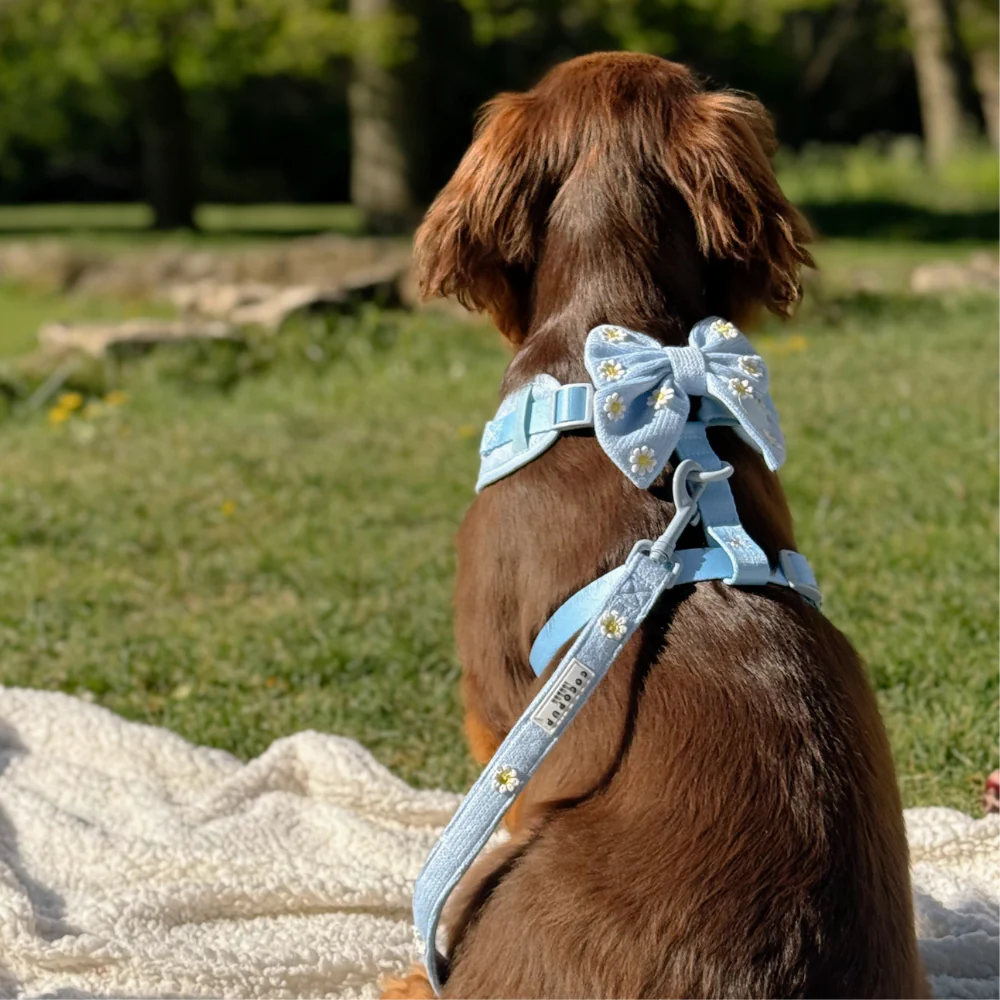 Blue Daisy Dream Sailor Bow Tie - Image 5