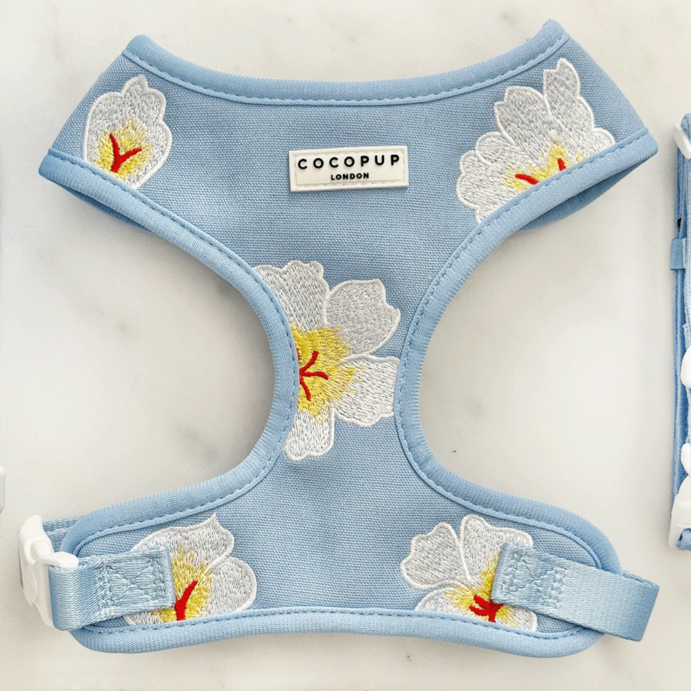 Blue Lagoon Adjustable Neck Harness, Lead & Collar Bundle - Image 3