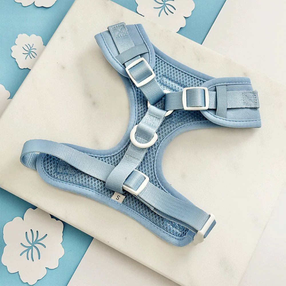 Blue Lagoon Adjustable Neck Harness, Lead & Collar Bundle - Image 4