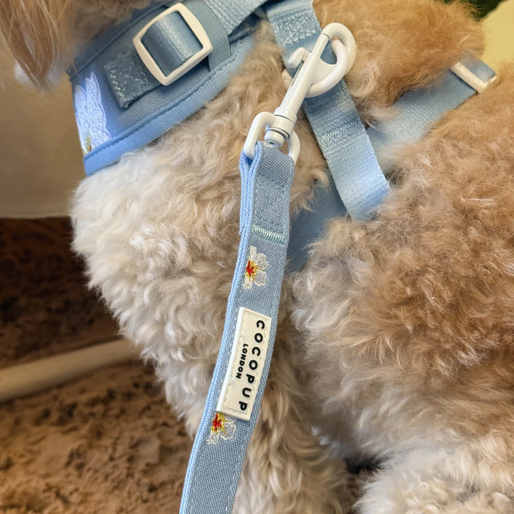 Blue Lagoon Adjustable Neck Harness, Lead & Collar Bundle - Image 12