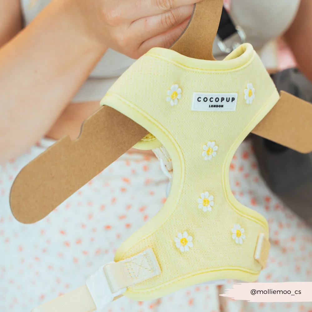 Buttercup Pup Adjustable Neck Harness, Lead & Collar Bundle - Image 13