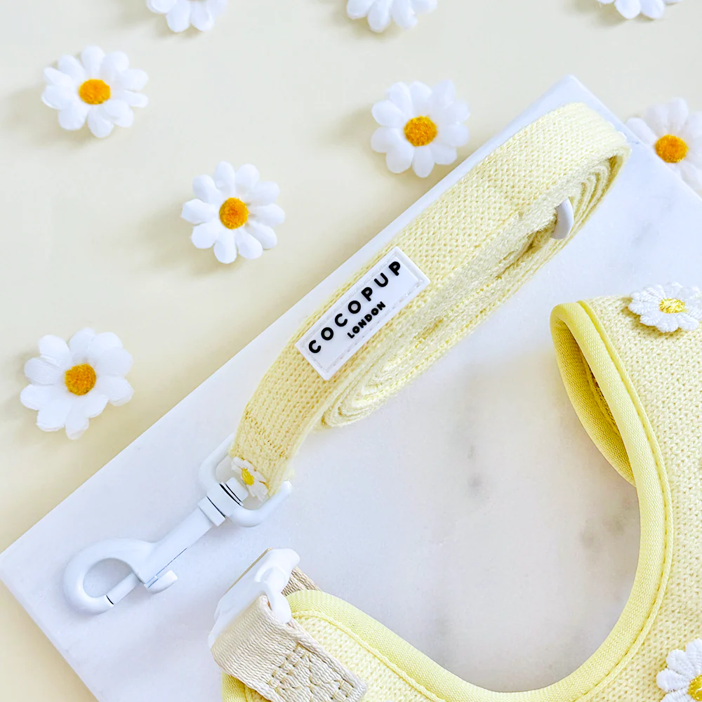 Buttercup Pup Collar & Lead Bundle - Image 3