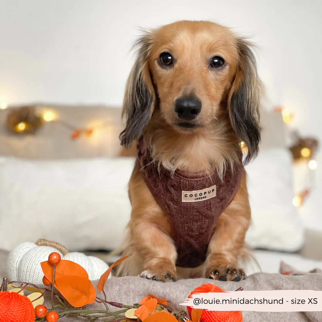 Cable Knit Adjustable Neck HARNESS - Hot Coco - Image 10