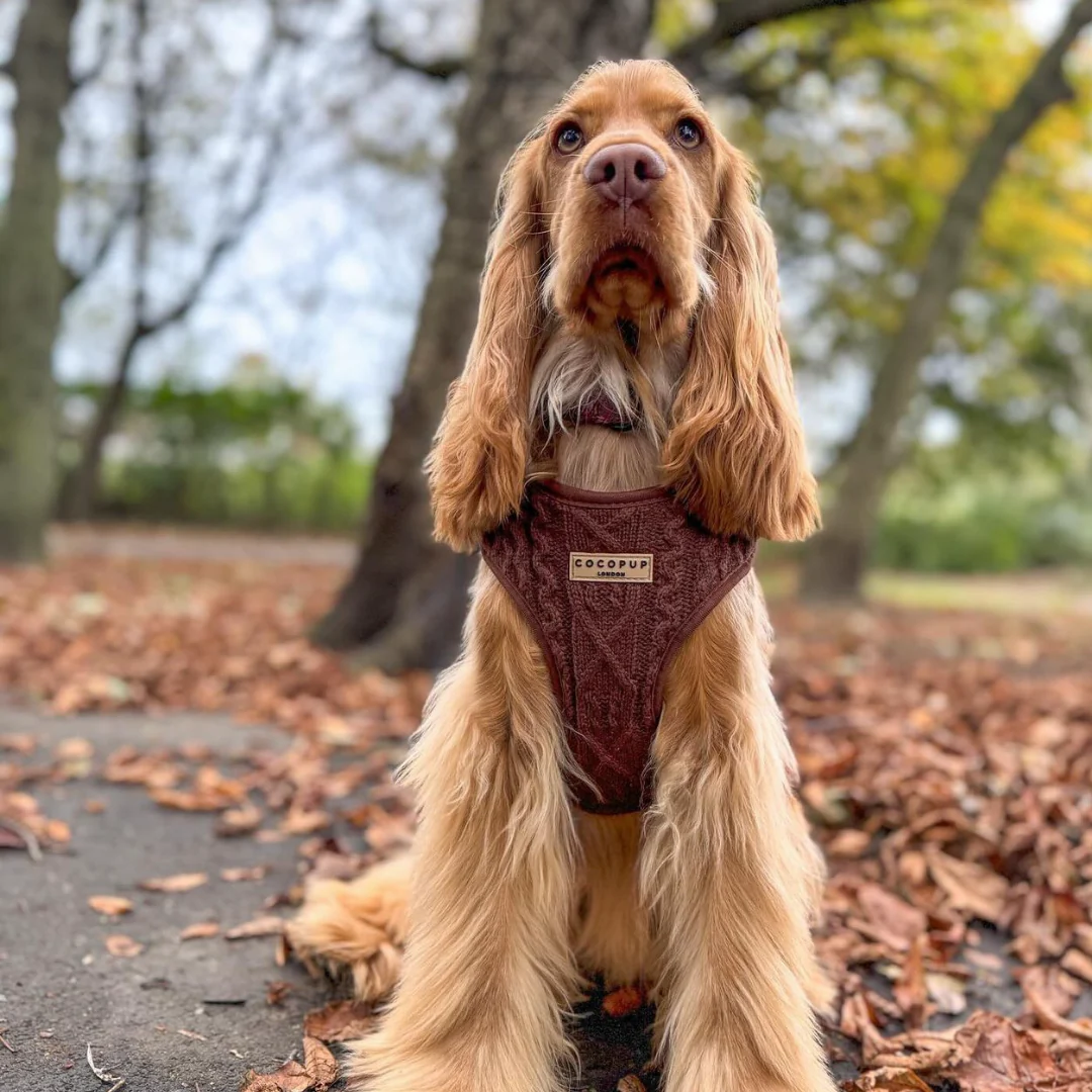 Cable Knit Adjustable Neck HARNESS - Hot Coco - Image 22