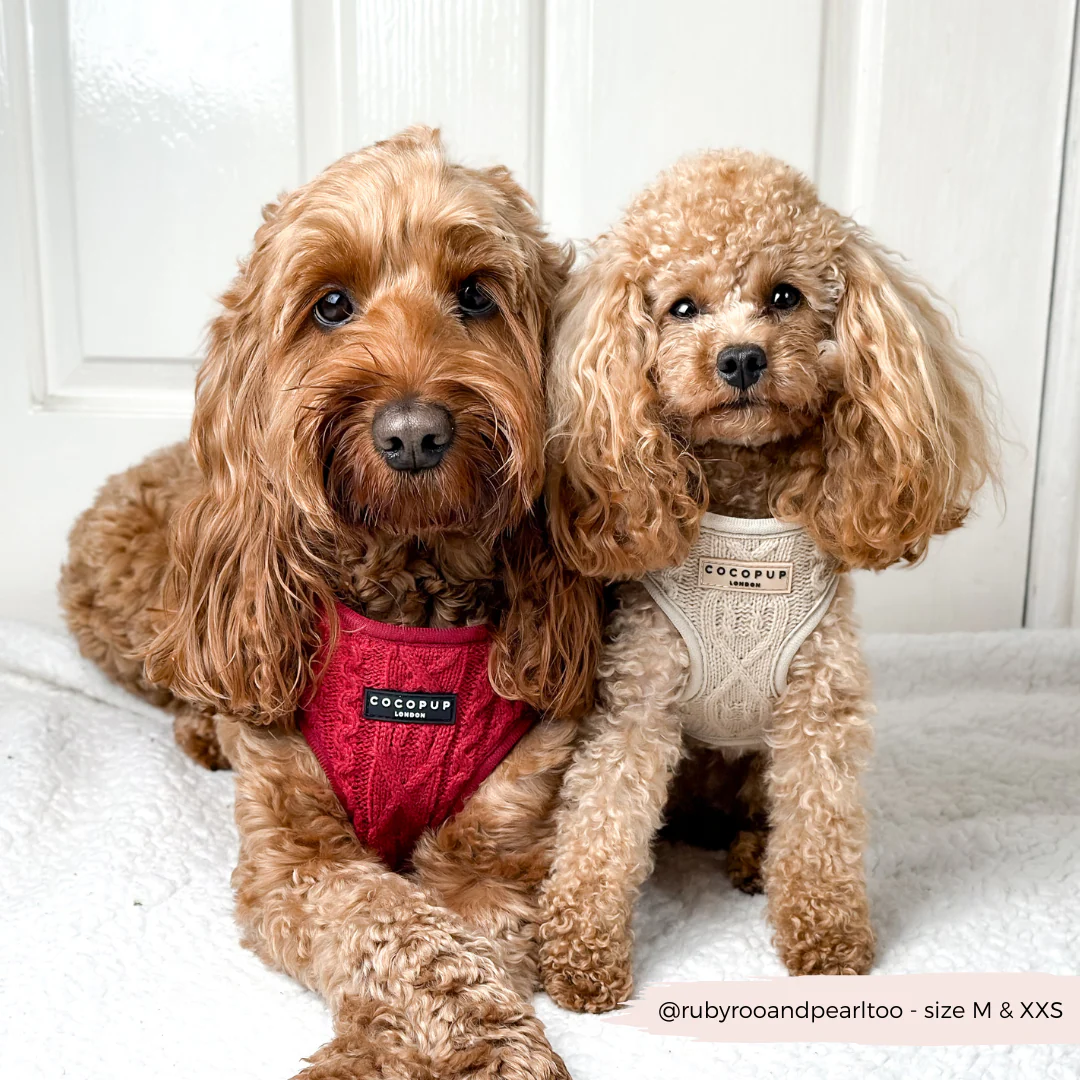 Cable Knit Adjustable Neck HARNESS - Mulled Pup Wine - Image 10