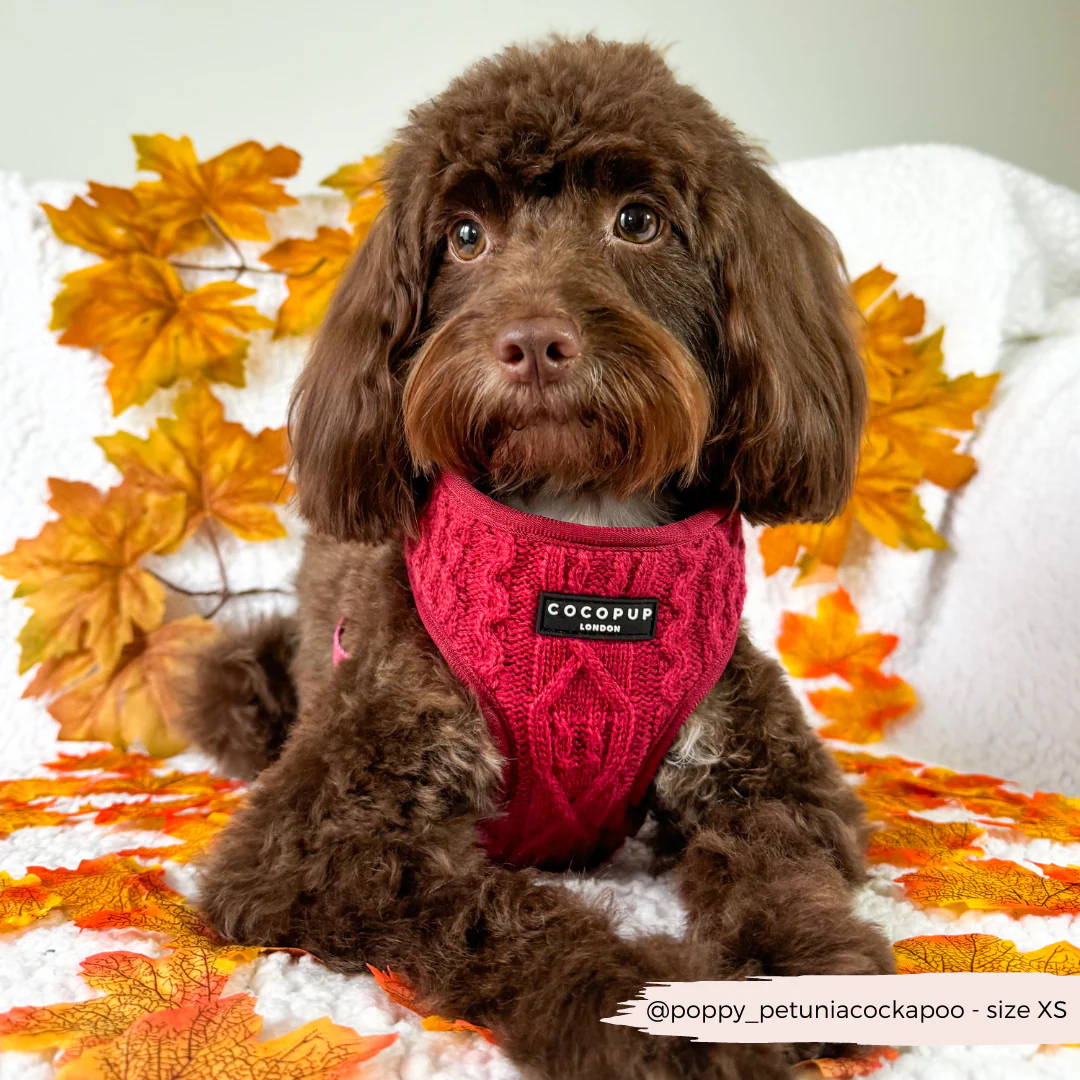 Cable Knit Adjustable Neck HARNESS - Mulled Pup Wine - Image 6