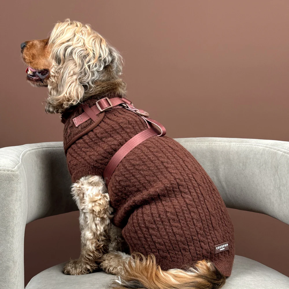 Jumper - Cable Knit Hot Coco - Image 6