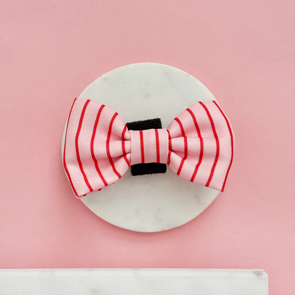 Candy Stripe Bow Tie - Image 2