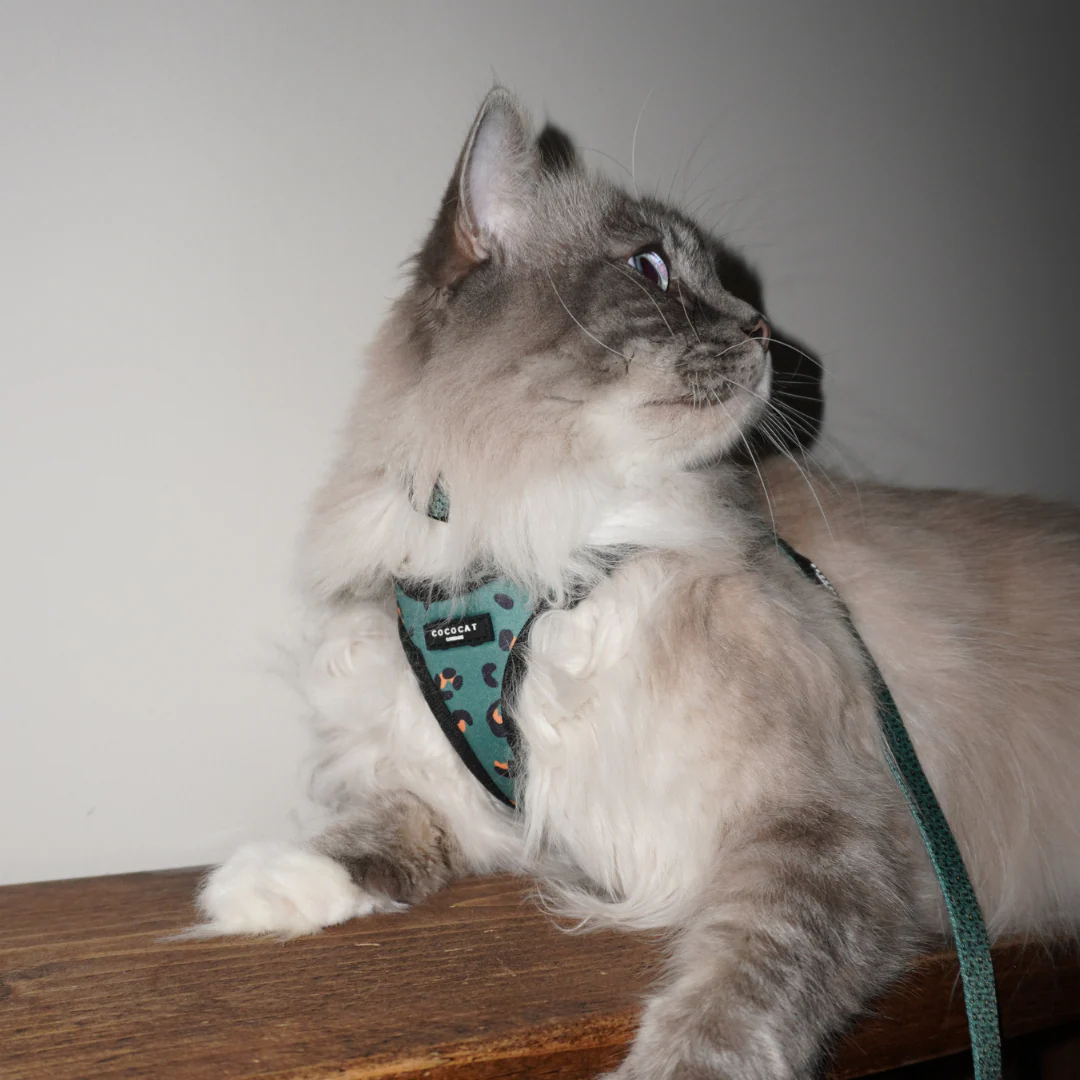 Cat Harness - Khaki Leopard - Image 9