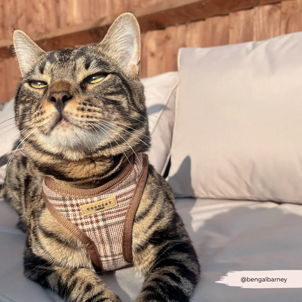 Cat Harness - Plaid - Image 7