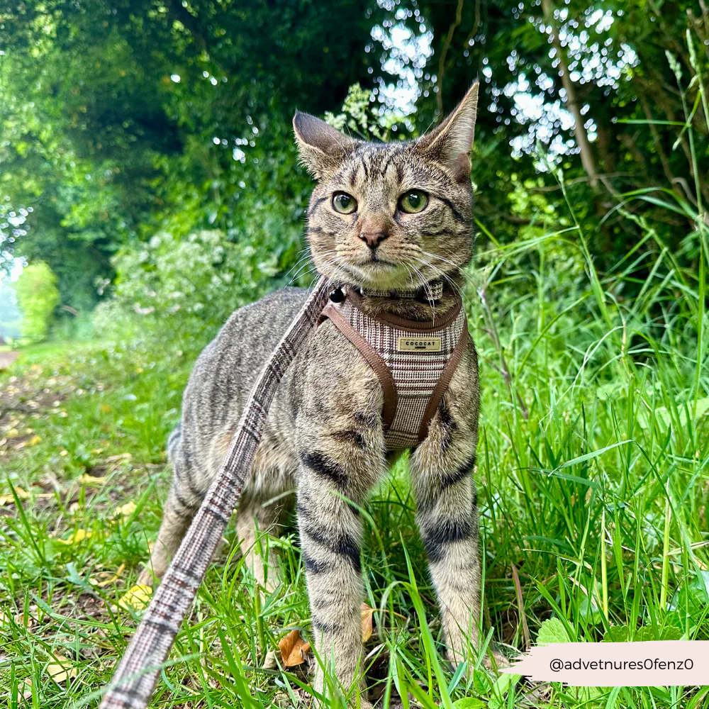 Cat Harness - Plaid - Image 3