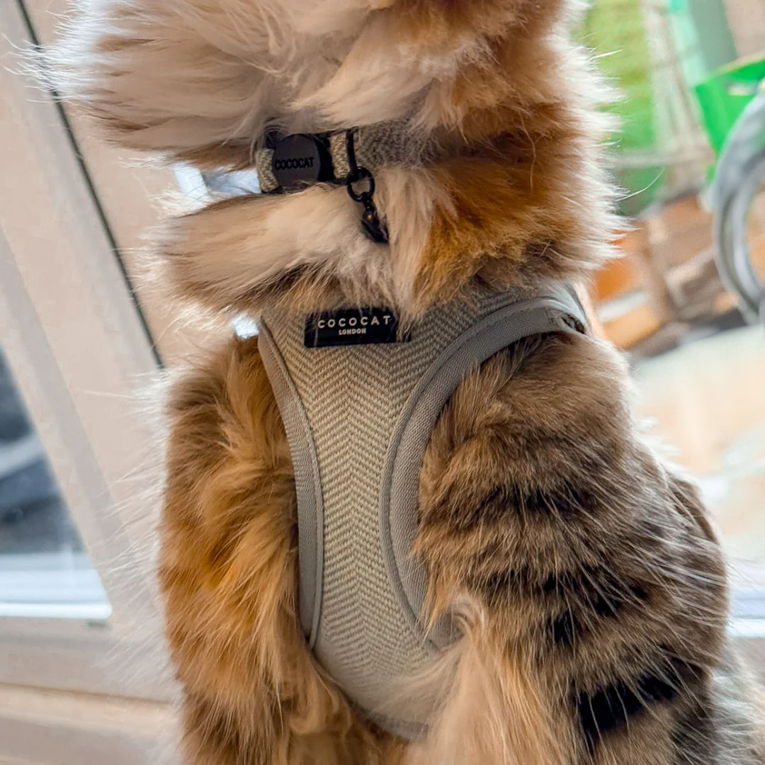 Cat Harness - Sage Tweed - Image 15
