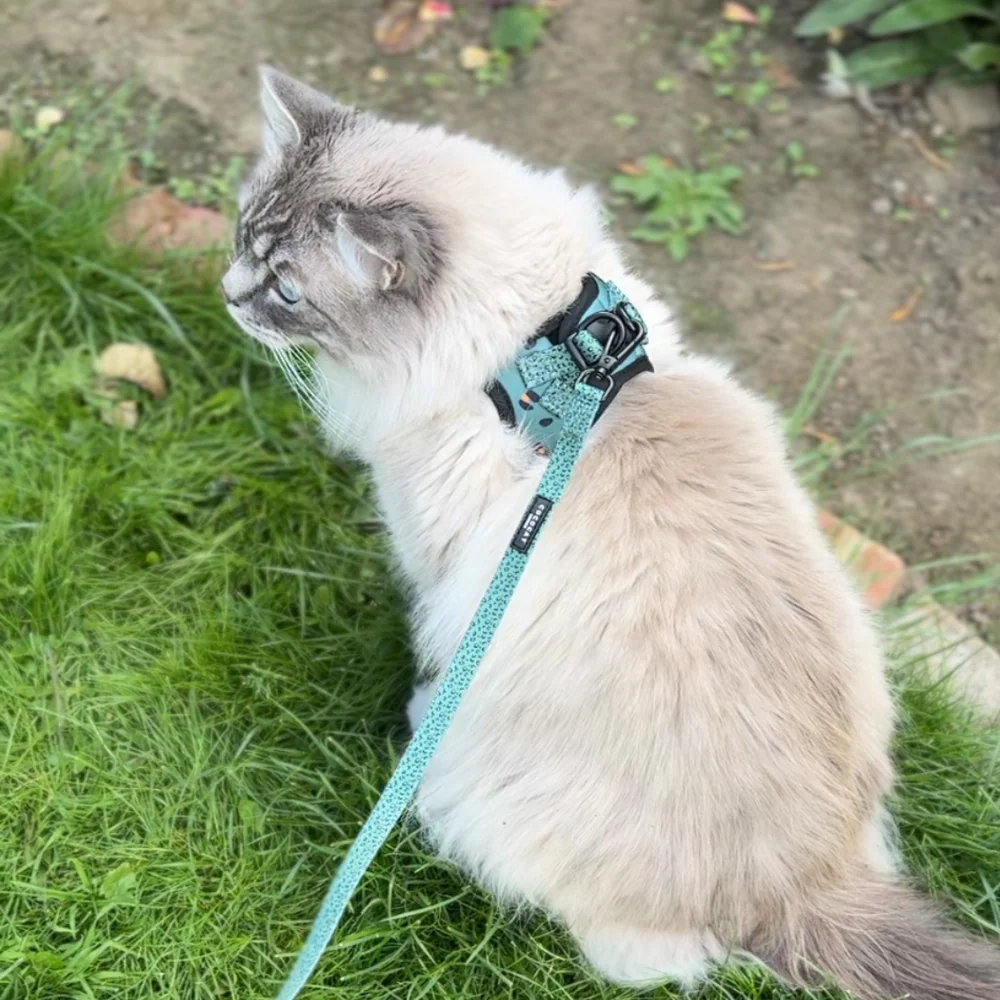 Cat Harness - Khaki Leopard - Image 4