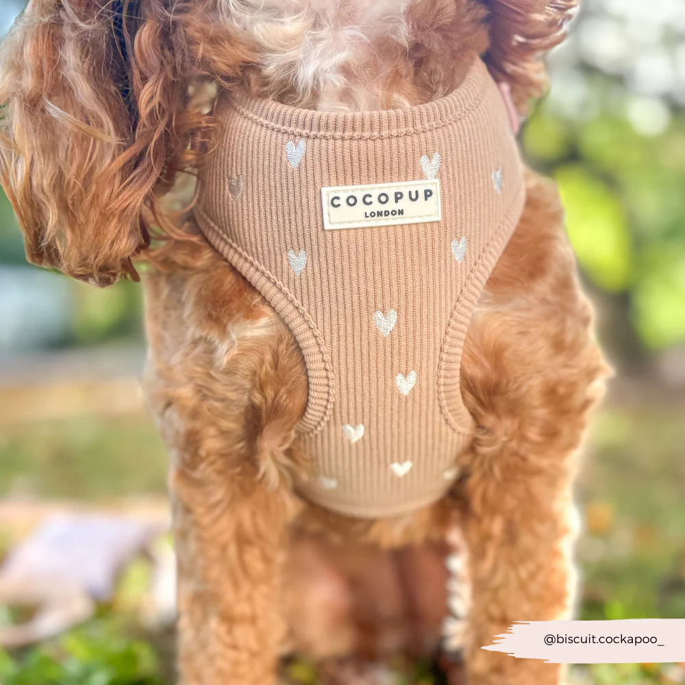 Chai Hearts Adjustable Neck HARNESS - Image 7