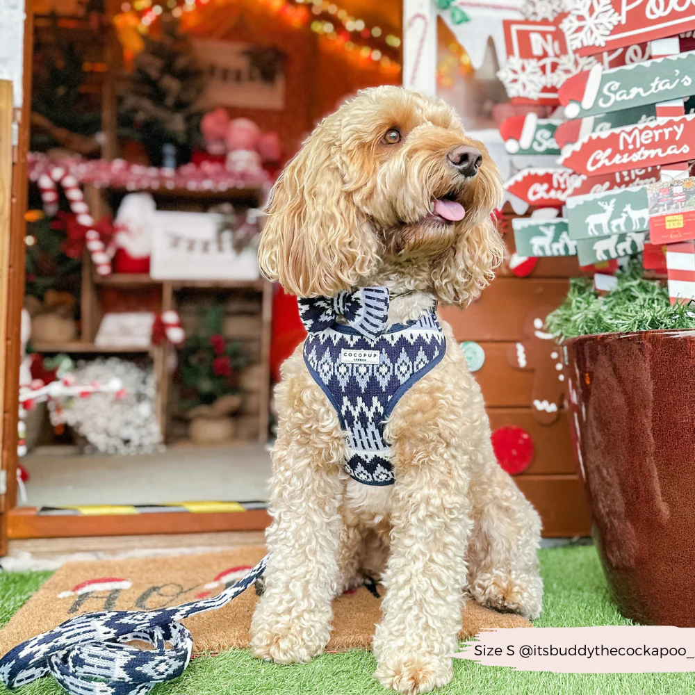 Chalet Pup Bow Tie - Image 4