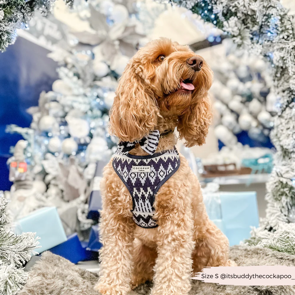 Chalet Pup Bow Tie - Image 5