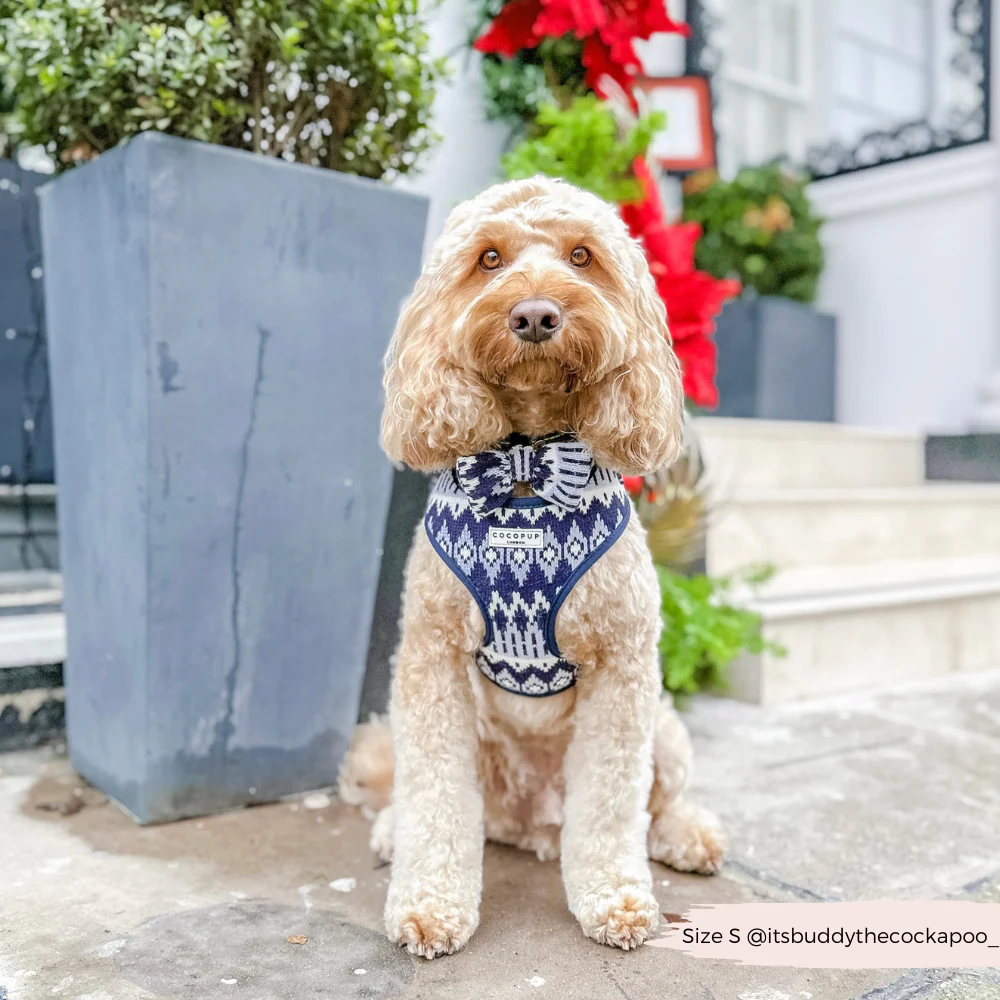 Chalet Pup Bow Tie - Image 6
